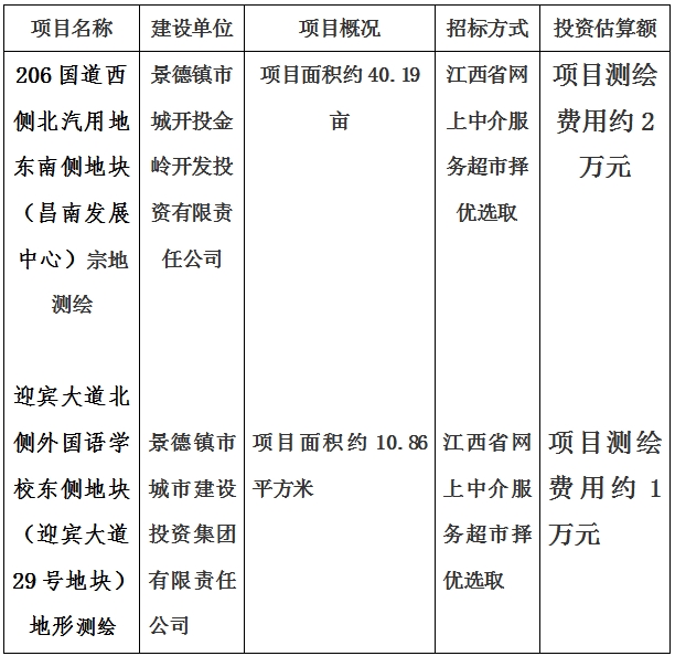 景德鎮(zhèn)市206國道西側北汽用地東南側地塊（昌南發(fā)展中心）宗地測繪項目及迎賓大道北側外國語學校東側地塊（迎賓大道29號地塊）地形測繪項目計劃公告